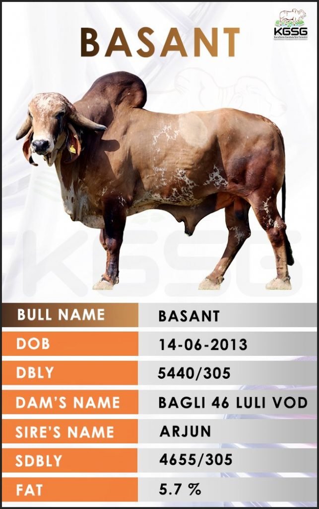 GIR BULL LIST Kamdhenu Gaushala Sire