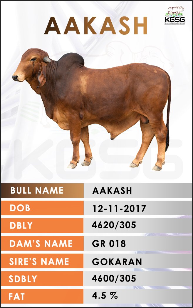 Geer Bull GIR BULL LIST | Kamdhenu Gaushala Sire Genetics