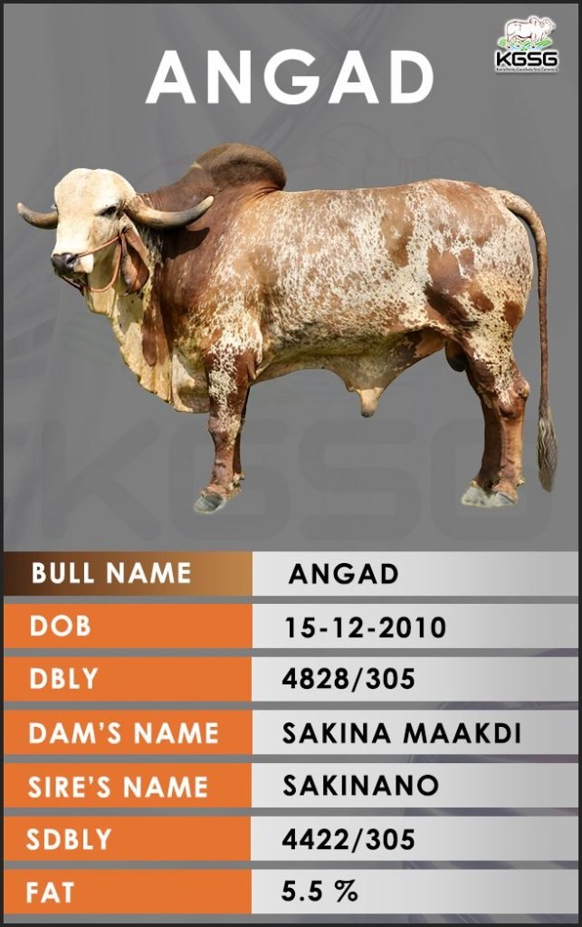 GIR BULL LIST Kamdhenu Gaushala Sire