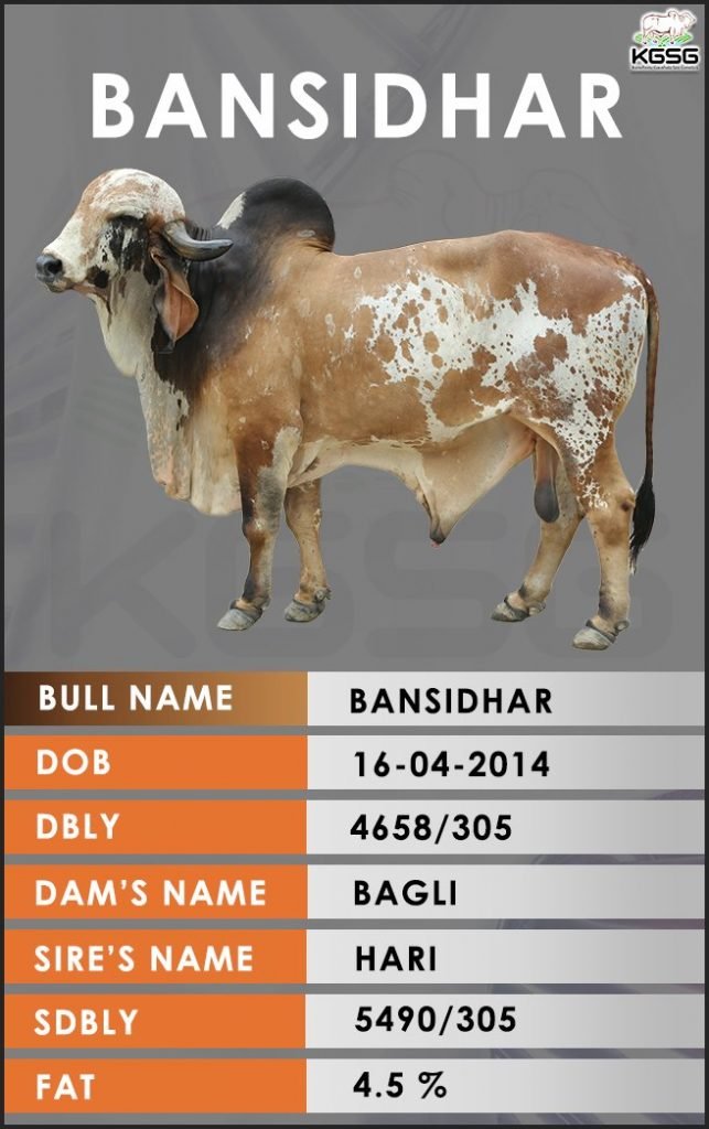 GIR BULL LIST Kamdhenu Gaushala Sire
