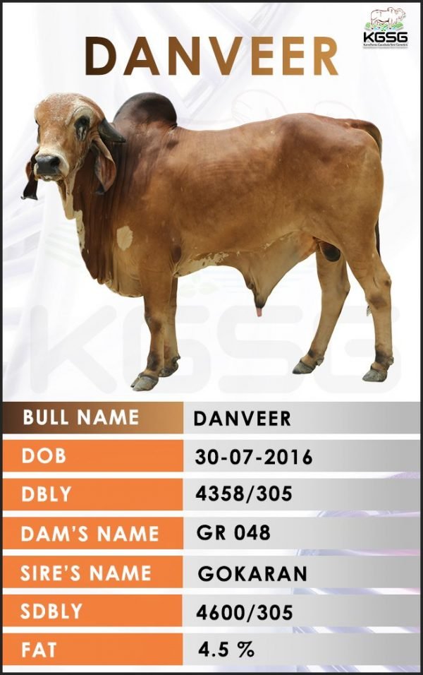 GIR BULL LIST Kamdhenu Gaushala Sire