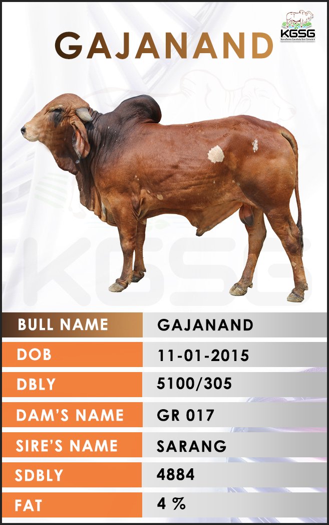 GIR BULL LIST Kamdhenu Gaushala Sire