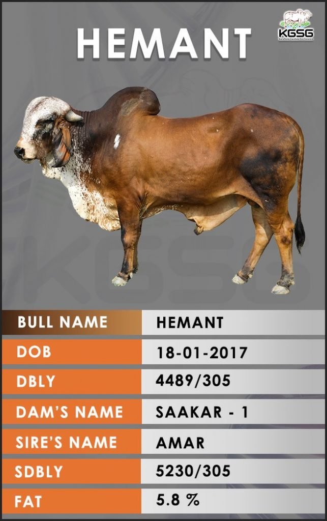 GIR BULL LIST Kamdhenu Gaushala Sire